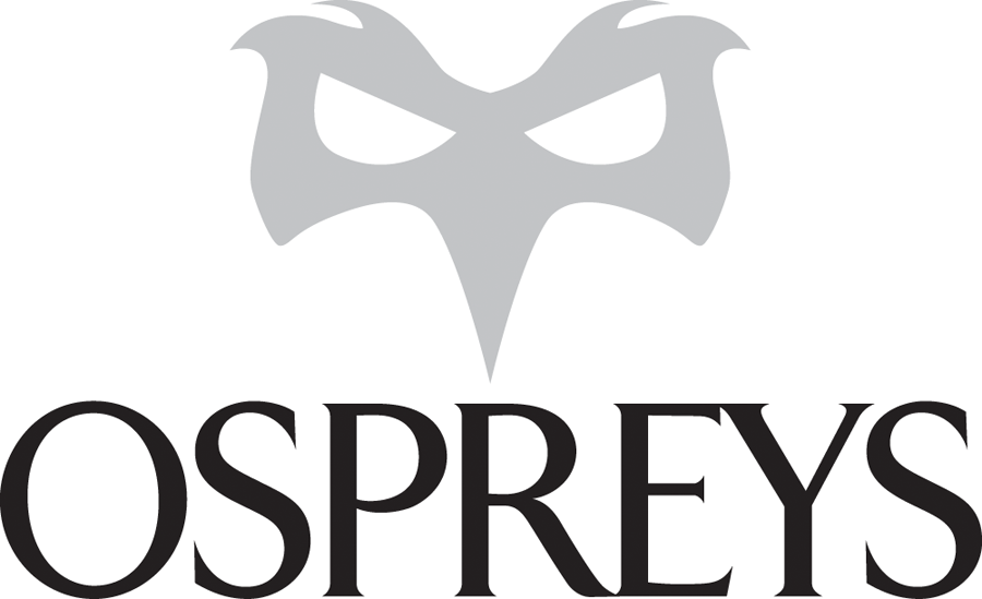 Ospreys 2001-2009 Primary Logo iron on transfers for clothing